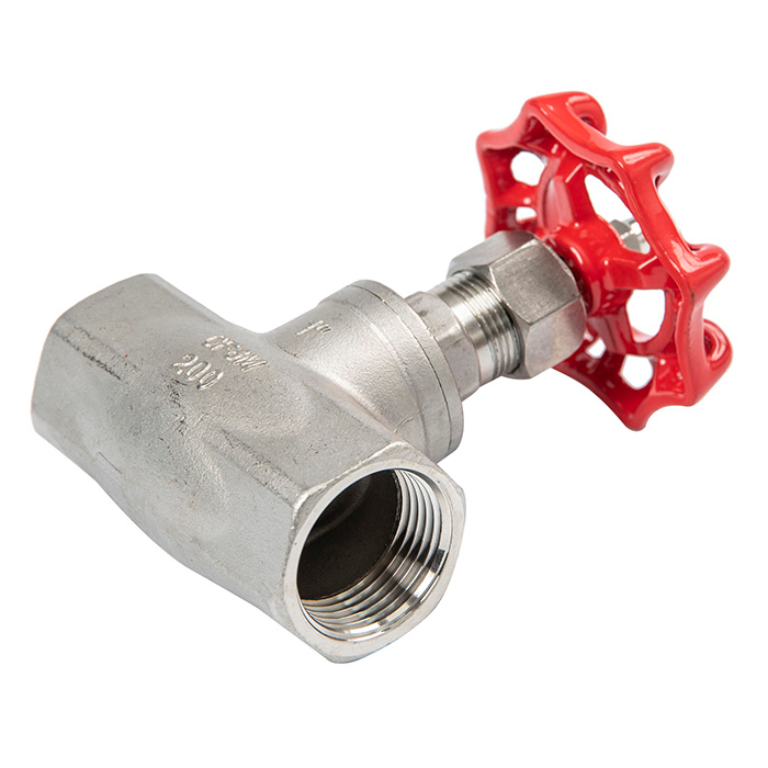 Stainless Steel 304 316 Threaded Bsp BSPT NPT Globe Valve
